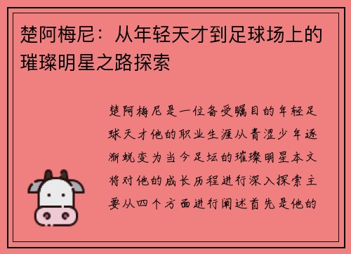 楚阿梅尼:从年轻天才到足球场上的璀璨明星之路探索
