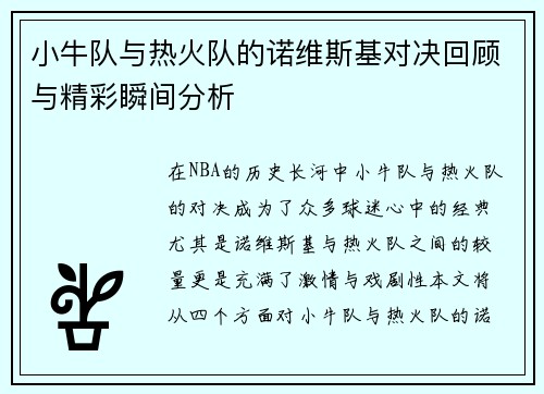 小牛队与热火队的诺维斯基对决回顾与精彩瞬间分析