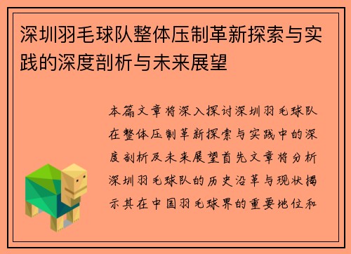 深圳羽毛球队整体压制革新探索与实践的深度剖析与未来展望